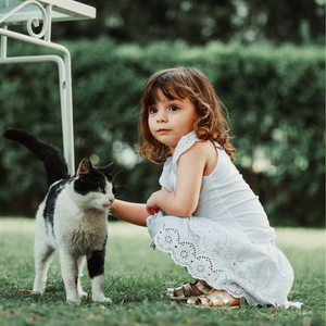 How to safely introduce your baby to your family pet