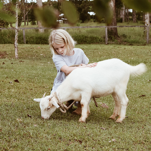 Why is LittleOak different from other goat milk formulas?