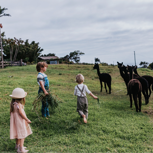 Not all toddler milks <br> are created equal
