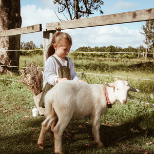 A young girl petting a baby goat in a field